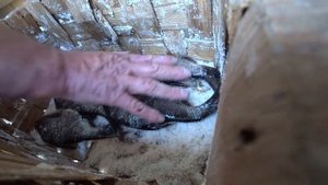 Сухой Посол Рыбы.Вкуснейшая Вяленая рыба?