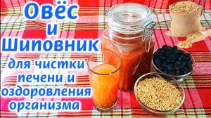 ПРОВЕРЕННЫЙ РЕЦЕПТ! ОВЁС ДЛЯ ЧИСТКИ ПЕЧЕНИ! Как ПРАВИЛЬНО сделать НАСТОЙ из ОВСА и ШИПОВНИКА!