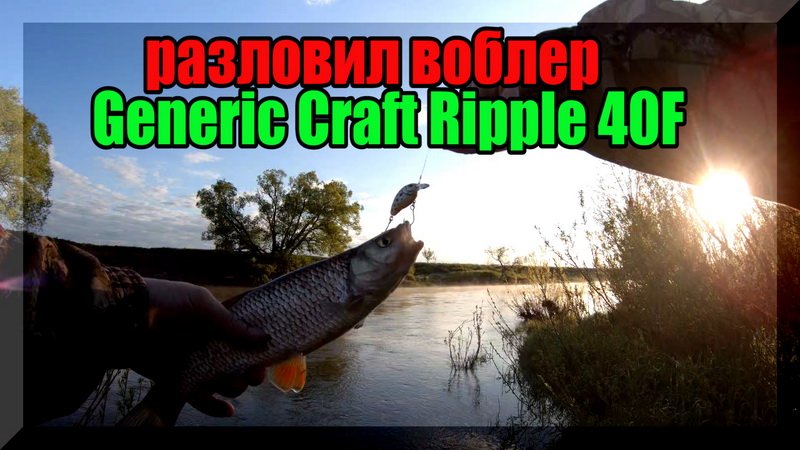 Вот и разловил воблер Generic Craft Ripple 40F. Голавль на спиннинг.