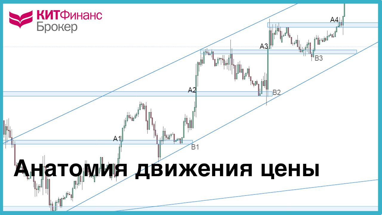 Анатомия движения цены