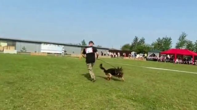 🏵 Frosten Rusland Ridik (+++)"Московия" Кубок Москвы 2023 смотреть онлайн