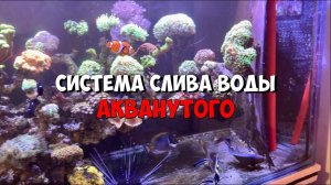 Чистка моей системы слива в морском аквариуме