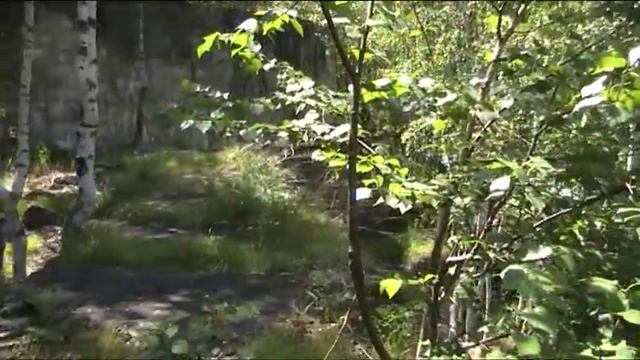 Тургусунская ГЭС -1 автор Сауле Тлеубергенева.MOD смотреть онлайн