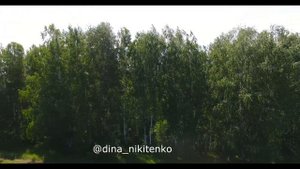 Река Ока природа