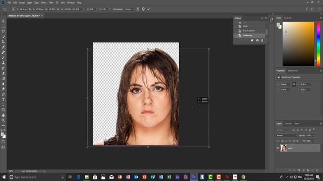 WWE 2K19 | HOW TO IMPORT FACE PHOTO WITHOUT STEAM (Tutorial)
