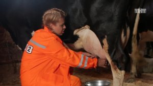 Дом-2: Ведро молока