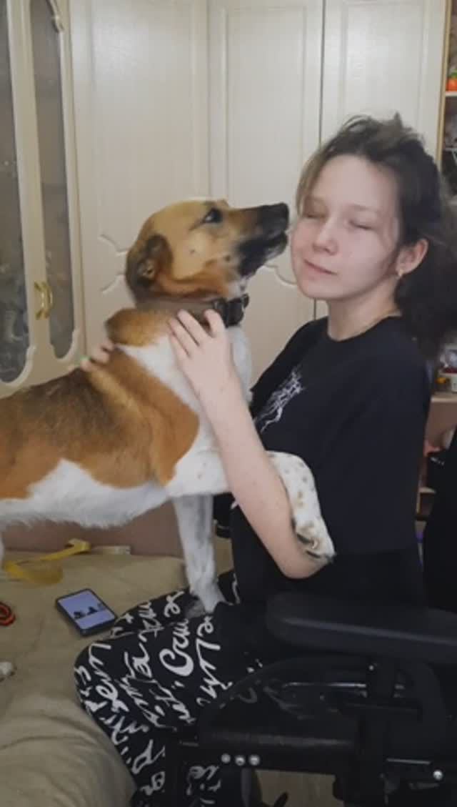 Альма пришла домой смотреть онлайн