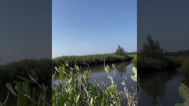 Смешное видео🤣🤣🤣