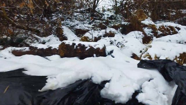 Зберігання гарбуза сорт українська багатоплідна. 16 грудня 2021 смотреть онлайн