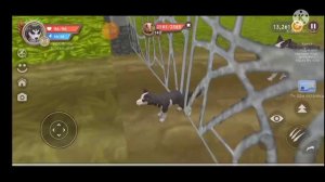 как попасть за карту дальше, чем думаете?! Wild Craft