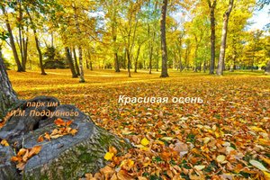 Осень! Красивое время года.