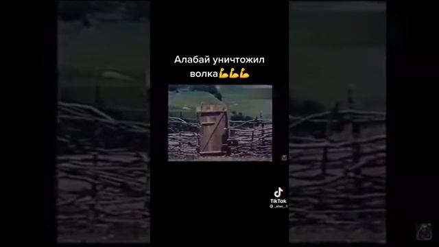 Алабай против Волк смотреть онлайн