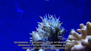 Достопримечательности Ираклиона (Крит): что посмотреть самостоятельно, экскурсии