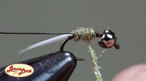 Tungteaser Fly Tying Tutorial / Larva Lace / Driftless Caddis / Beetle / Peacock Angel Hair / Nymph