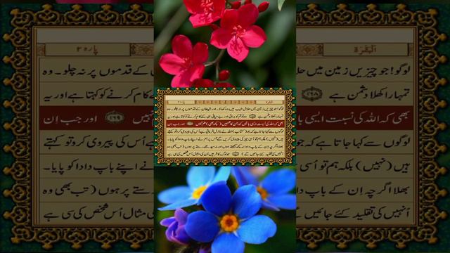 Quran pak tarjuma // urdu // part 48