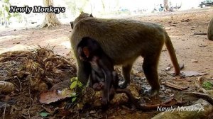 So scare!!! Daniela is crying for calling Mom | Dana leave her baby | Daniela feel lost Mom