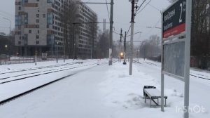 Питер работа за 100000 тыщ