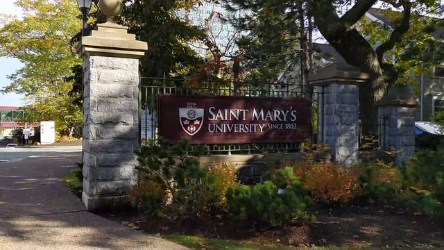 Влог #8: Осень золотая, телефон еще в ремонте, куст в огне, женский футбол смотреть онлайн