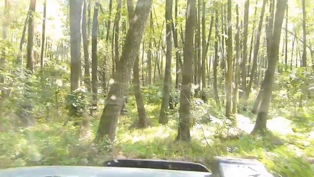 НИВА МАРШ в тюнинге на асфальте 90км/ч в БОЛОТЕ едет почти везде OFF ROAD 4X4 смотреть онлайн