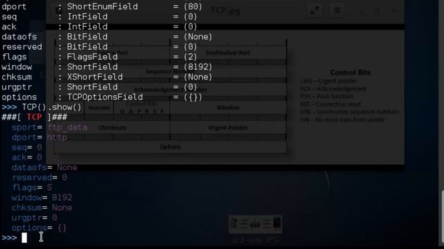 Bypassing a Stateless Firewall ~ Crafting a TCP SYN ACK Packet with Scapy смотреть онлайн
