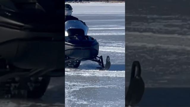 Haul in ass Easter Sunday Callander bay смотреть онлайн