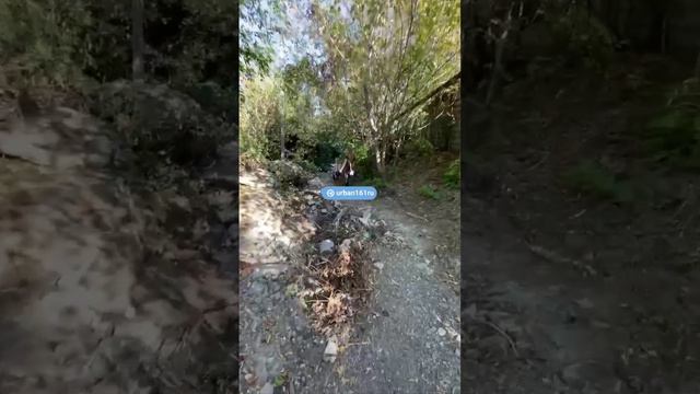 По улице Аккуратная ситуация не лучше. Ноги можно переломать! Жители, судитесь с мэрией.