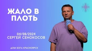 04.08.2024. Сергей Сенокосов. "Жало в плоть”