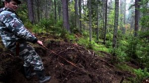 Начал строить избу-землянку в тайге. Коп ямы.