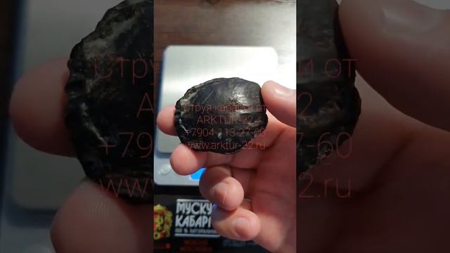 Струя кабарги цена в России смотреть онлайн