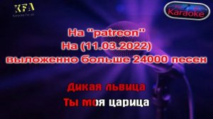 Alex & Rus - Дикая львица караоке.avi