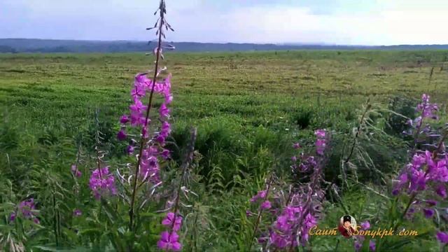 ПРИЧУДЫ ПРИРОДЫ УНИКАЛЬНЫЕ ФОТО~ 8 ЧУДО ПРИРОДЫ (ХАБАРОВСКА)
