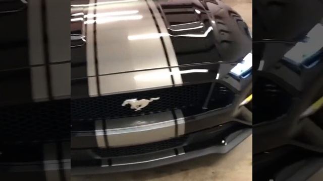 Mustang Stripes смотреть онлайн