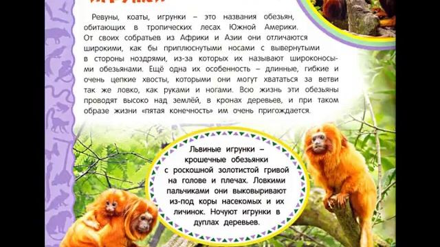 Животные джунглей. Самая первая энциклопедия смотреть онлайн