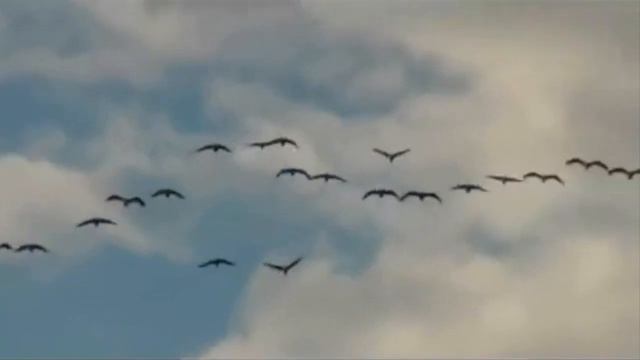 ОЧЕНЬ КРАСИВАЯ ПЕСНЯ ДЛЯ ДУШИ! - ЖУРАВЛИНЫЙ КЛИН - ИСП. ВЯЧЕСЛАВ КРОТОВ смотреть онлайн