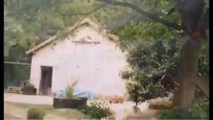 Загадочное исчезновение семьи из собственного дома