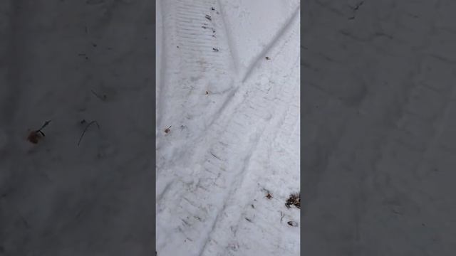 продажа мотобуксировщика смотреть онлайн