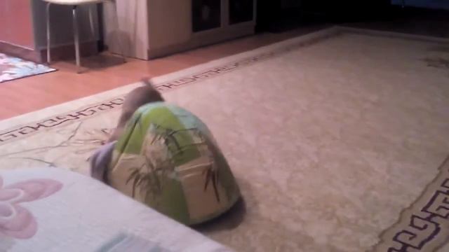 ЛОРДИК НАВОДИТ ПОРЯДОК смотреть онлайн