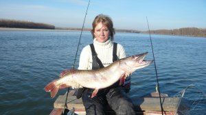 Рыбалка в Новосибирской области. Fishing in Novosibirsk.