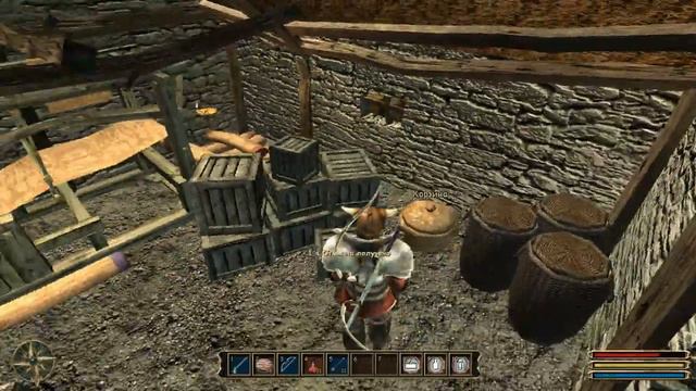 Gothic 3 / Готика 3 прохождение (#19 освобождение Готы)