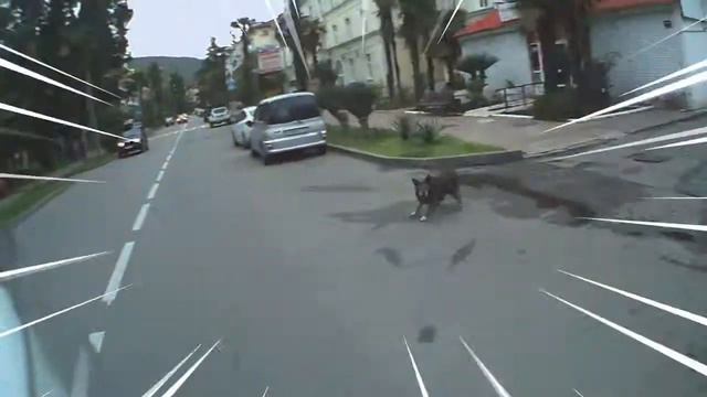 Stunt + смотреть онлайн