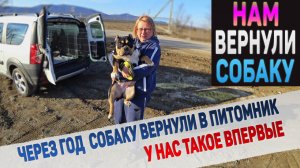 Отличную собаку неожиданно вернули назад в питомник! Мы удивлены.
