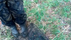 Поймал на морду карася и ротана.