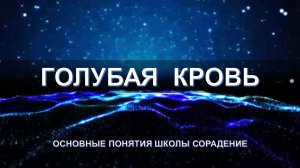 Голубая кровь - основные понятия школы Сорадение. Развитие в Соразмерности.