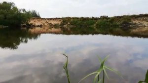 "А на том берегу незабудки цветут..."