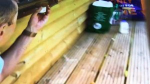 макс и Катя 24 часа в домисел на дерева (КРУТООЕ ВИДЕО)