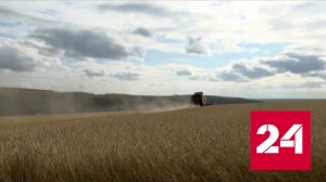 ЕС ищет сухопутные варианты ввоза зерна с Украины - Россия 24 
