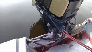 ЭБУ Mercury 30 EFI. Ярославль, погибший блок до, и после вскрытия.
