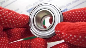 Корпусный подшипник  RAE25-XL-NPP-FA106  INA