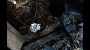 Чердачный поиск. Ящик с горстью  монет и другие находки!