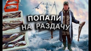 Настоящая морская рыбалка в Баренцевом море. Ловля трески. Отдых и развлечения в Мурманске.